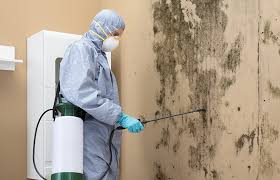  Cottage Grove, MN Mold Removal & Remediation Pros